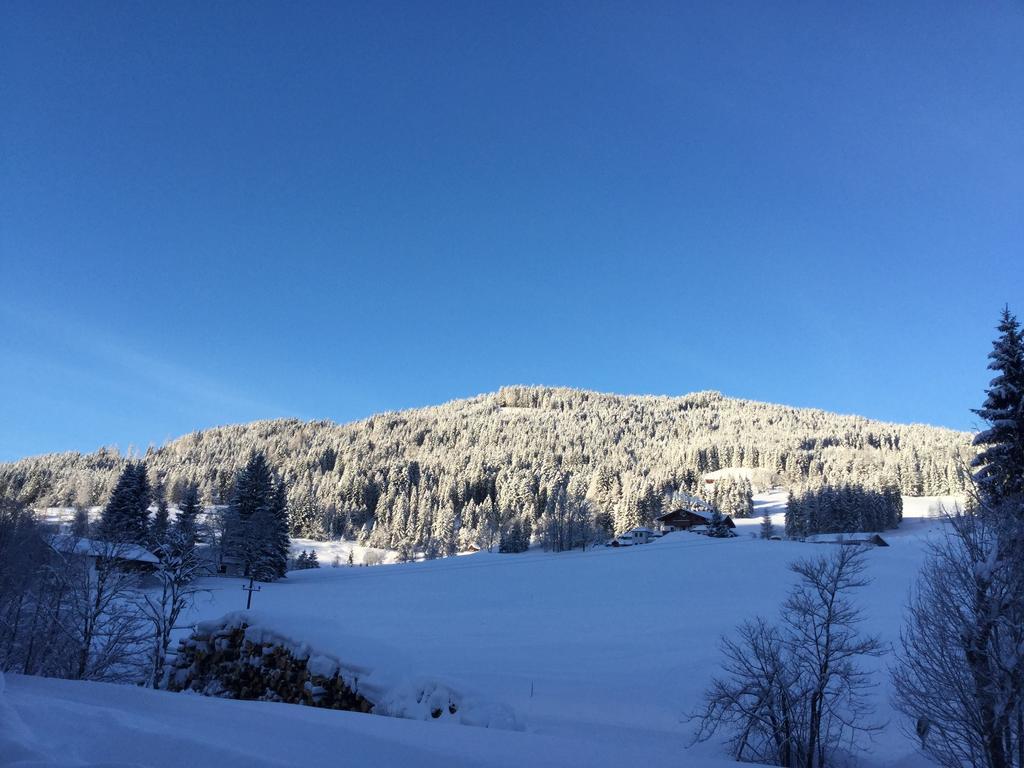 Ferienwohnungen Vierthaler Filzmoos Exteriér fotografie