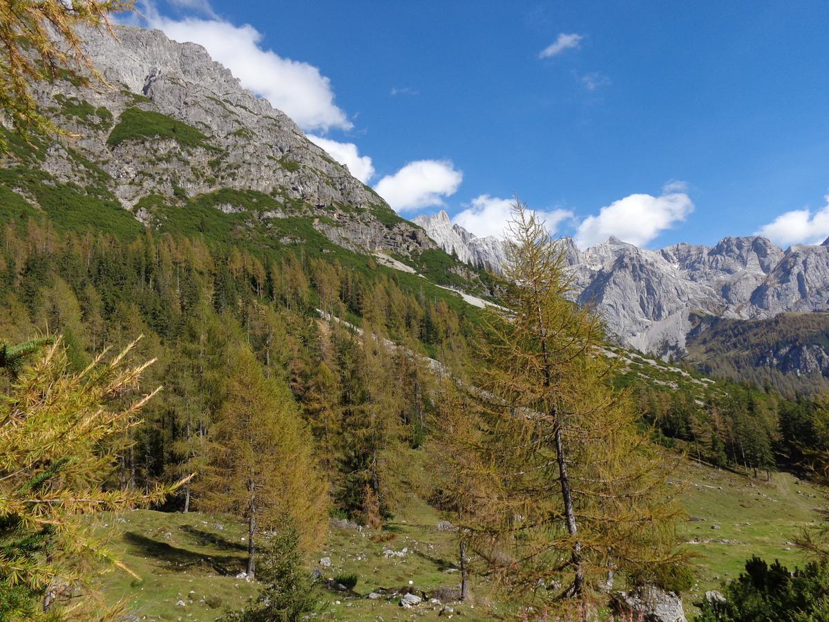 Ferienwohnungen Vierthaler Filzmoos Exteriér fotografie